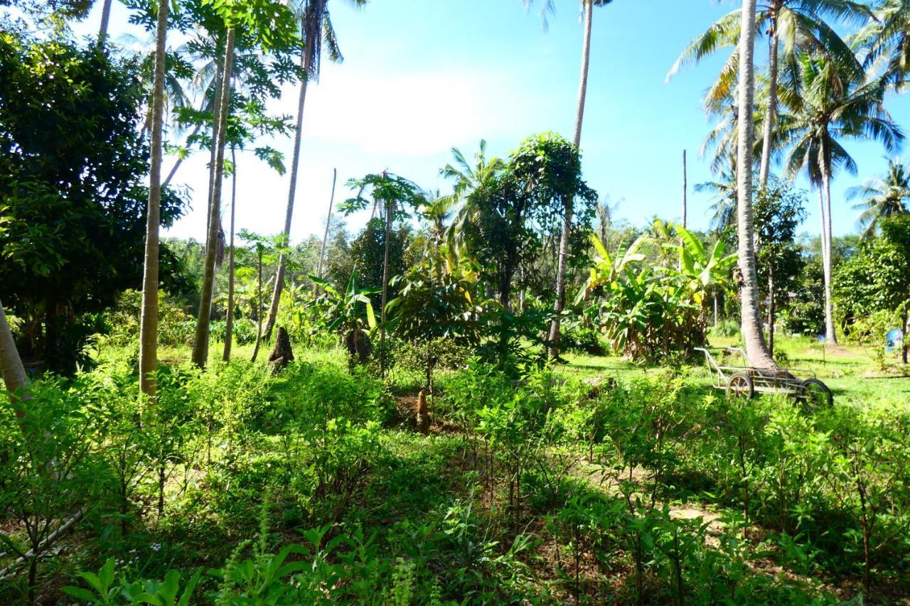 Chom Suan Homestay Ko Kut Dış mekan fotoğraf